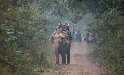 jim corbett
