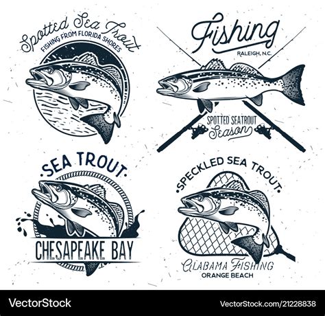 Speckled Sea Trout Vector Images 16