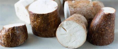 Yuca Propiedades Beneficios Y Cómo Cocinarla Ecología