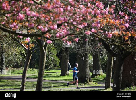 Ormeau Park Hi Res Stock Photography And Images Alamy