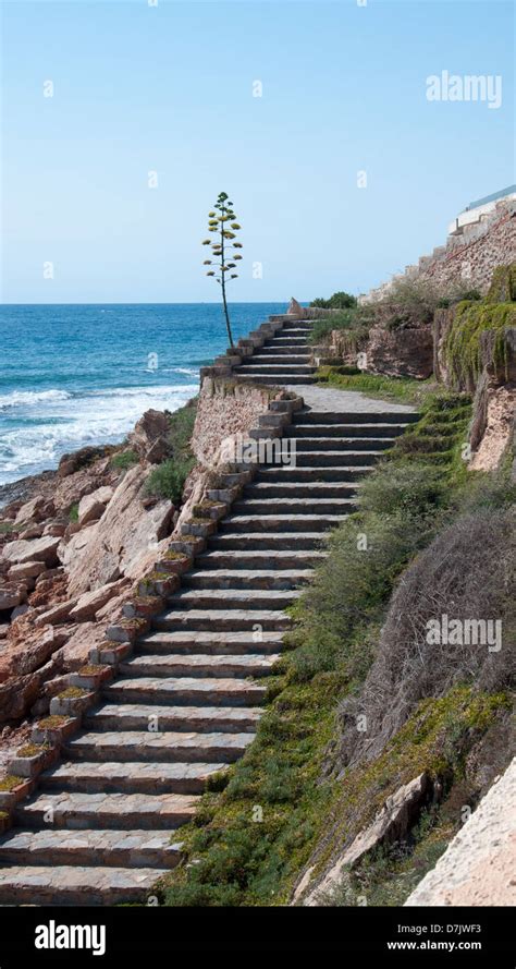 Stairway And Agave Flower Along Walking Path By The Mediterranean Sea