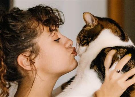 Beneficios De Tener Un Gato En Casa Para La Salud Mental Y Emocional