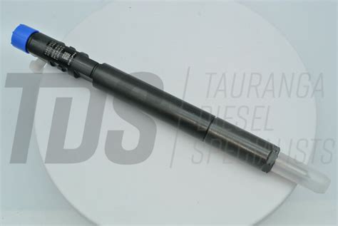 Delphi Common Rail Injector - SsangYong Kyron Rexton Rodius - R04601D ...
