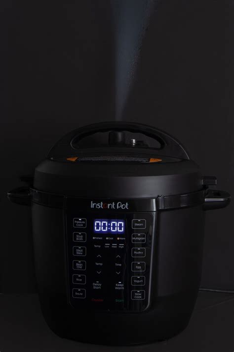 Instant Pot Rio Review - Pressure Cooking Today™