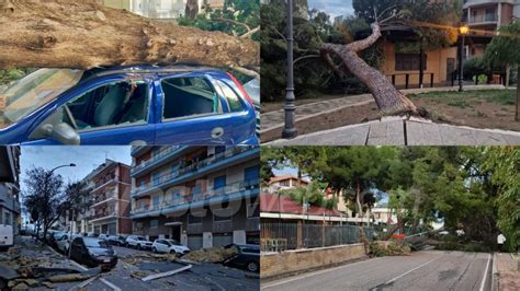 Vasto Raffiche Di Vento Ingenti Danni E Alberi Caduti In Diverse Zone