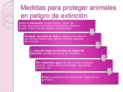 Animales En Peligro De Extincion