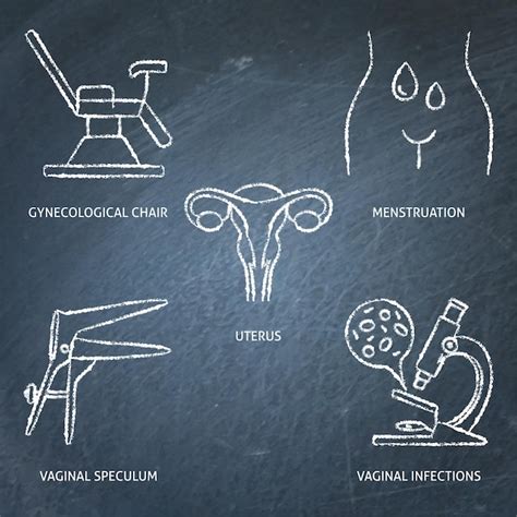 Premium Vector Gynecology And Woman Health Chalkboard Icon Set