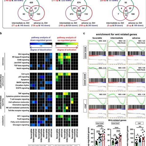 Gene Expression Signature Of Leukemia Stemprogenitor Cells And Paired