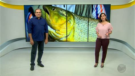 VÍDEOS Jornal da EPTV 2ª Edição Ribeirão Preto de sexta feira 20 de