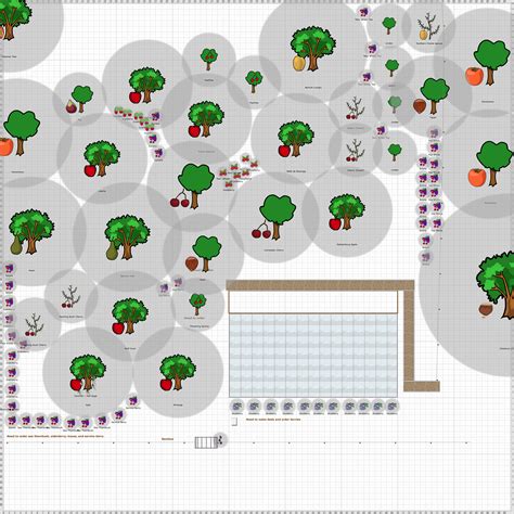 Garden Plan - 2017: Food Forest