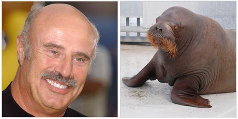 Celebrities Resembling Animals Photo Essay – Ramani's blog