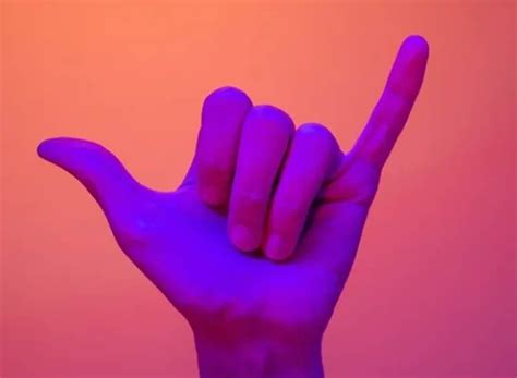 Como Decir Gay En Lenguaje De Se As Lgcba