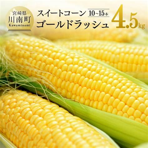 【令和6年発送】大山さんちのスイートコーンゴールドラッシュ45kg とうもろこし スイートコーン 宮崎県川南町｜jre Mallふるさと納税