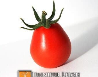 Popular items for roma tomato on Etsy