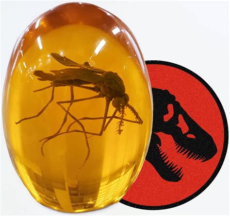 Realistic Jurassic 3D Mosquito in Amber Resin in Nepal at NPR 4455 ...