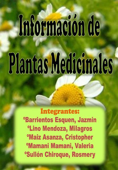 Calaméo Revista De Plantas Medicinales