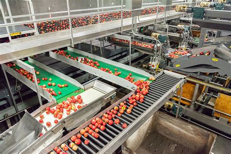 8 Essentials For Food Processing Facility Design