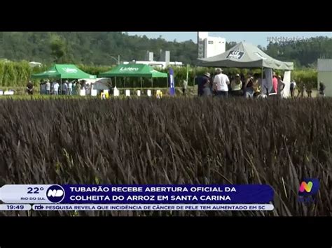 Tubar O Recebe Abertura Oficial Da Colheita Do Arroz Em Santa Catarina