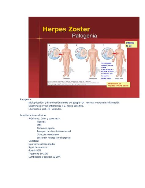 Varicela Y Herpes Zoster Pdf Descarga Gratuita