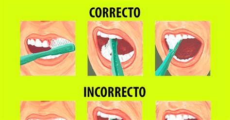 Cómo cepillar correctamente los dientes