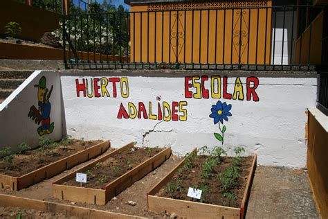 Huerto Adalides Decoramos Nuetro Huerto