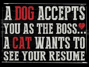 how to show your dog you are the boss