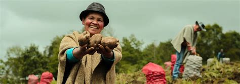 Beneficio Para Los Campesinos Colombianos Reducci N De Saldos De