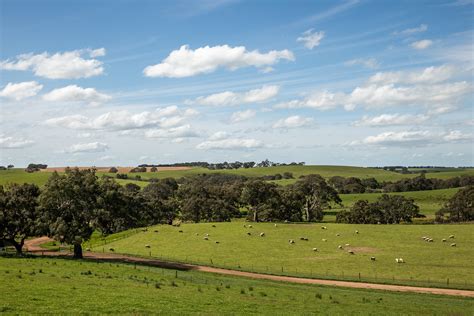 Chatsworth House Pastoral