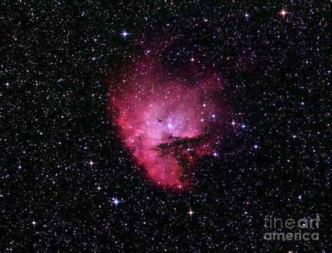 Emission Nebula Ngc Photograph By Robert Gendler Science Photo