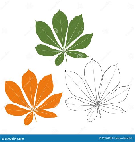 Set Of Vector Chestnut Leaf Outline And Coloured Icon Simple Chestnut