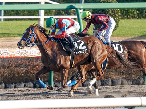 【米・bcフィリーandメアスプリント結果】グッドナイトオリーブが6連勝、日本のチェーンオブラブは10着 競馬ニュース Netkeiba