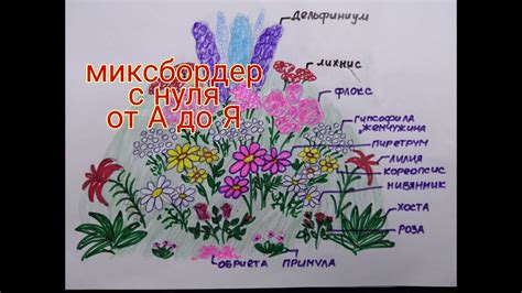 СОЗДАЁМ роскошный ЦВЕТНИК от А до Я, Дивный МИКСБОРДЕР С НУЛЯ, ПОДБОР ...