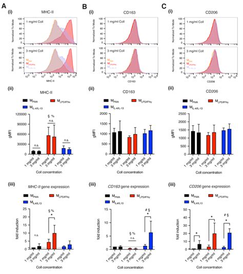 Quantitative Analysis Of Thp Derived Macrophage Surface Markers A