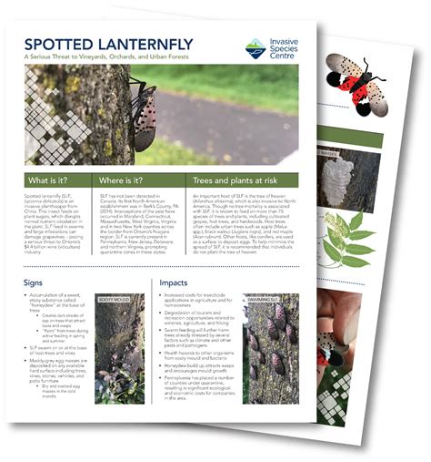 Invasive Species – Invasive Species Centre