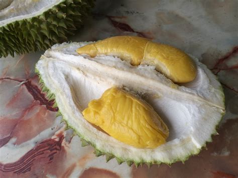 Guide To Durian Know The Difference Between Mao Shan Wang And D