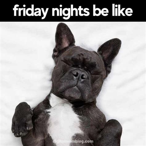 Kickstart Your Weekend With These Hilarious Friday Memes Friday Meme