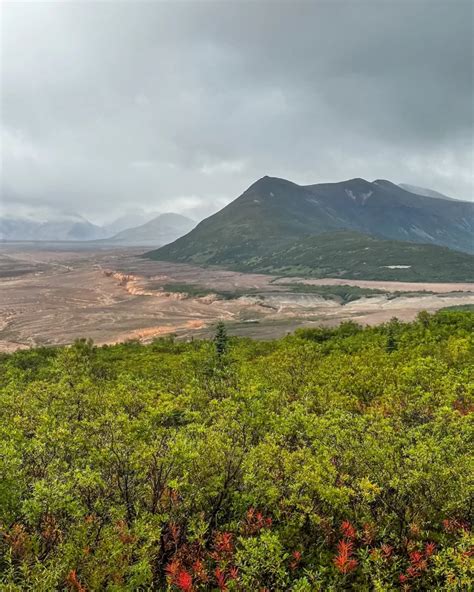 Complete Guide to Visiting Katmai National Park - Lita of the Pack