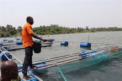 Pêche et aquaculture le Togo prévoit 1 1 milliard FCFA pour 2023