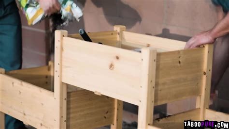 Codey Steele And Nathan Bronson Fucks Sexy Babe Charlotte Sins