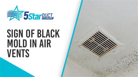 Signs Of Black Mold In Air Vents — 5 Star Duct Cleaning