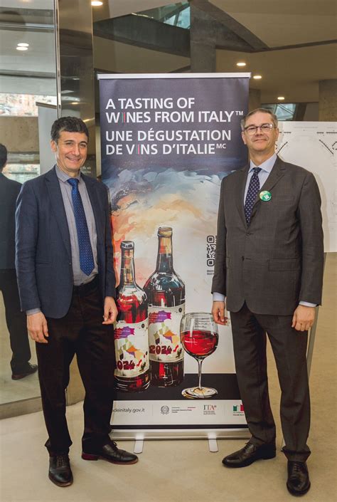 Vino Italiano: Regional Wines Of Italy 4