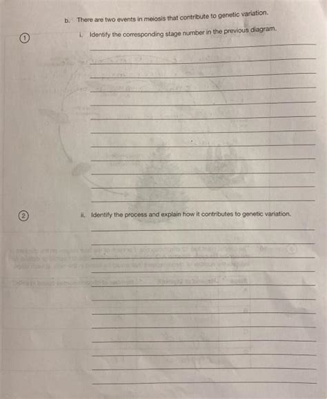 Solved Assignment 5C: Cell Division: The Process of Mitosis | Chegg.com 