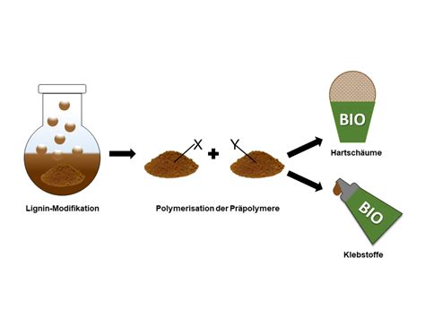 Thünen Development of lignin based polyurethanes for foams and adhesives