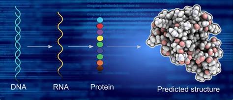 Science蛋白质设计大神 顶级AI算法 开启结构生物学新时代 Baker 生物学 蛋白质 复合物 AI 结构 细胞 健康界