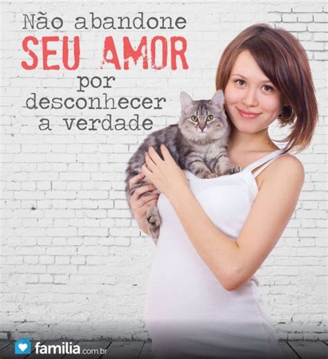 Toxoplasmose E Gravidez O Gato Mesmo Um Vil O Familia Gatos