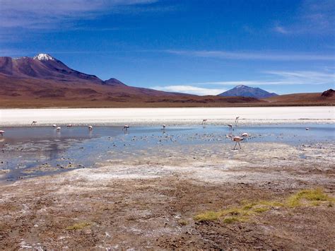 Bolivia – Basic Backpackers