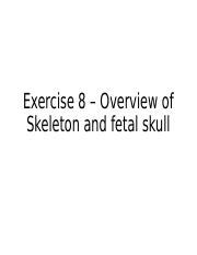 Ex Overview Of Skeleton Fetal Skull Updated Ppt Exercise