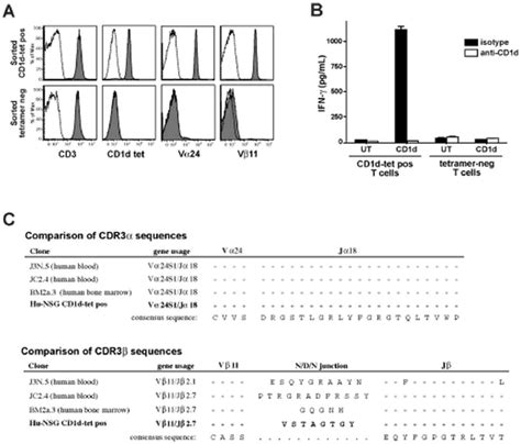 Analysis Of Hu Nsg Nkt Cells Cd D Tetramer Positive And Negative T