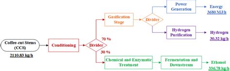 Basic Scheme Of The Ccs‐based Biorefinery Adapted From García Et Al ⁴⁴