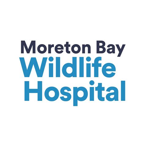 Moreton Bay Wildlife Hospital